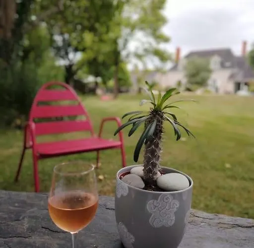 Maison Angevine Hébergement de vacances *